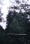 Mostek nad Radomk
